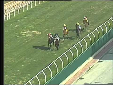 Galoppo 29/01/2016 1° corsa