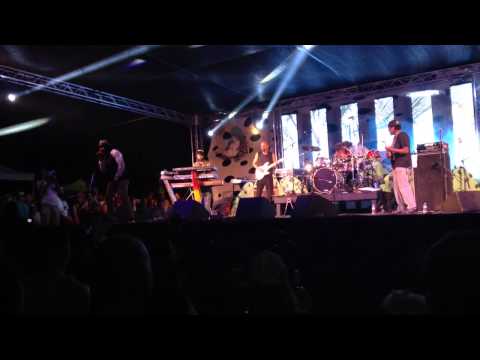 Andrew Reid LIVE at Reggae in the Hills 2014
