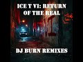 Ice T - Dear Homie (DJ Burn Remix)