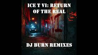 Ice T - Dear Homie (DJ Burn Remix)