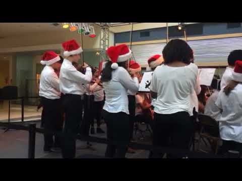 Božićni koncert 2017