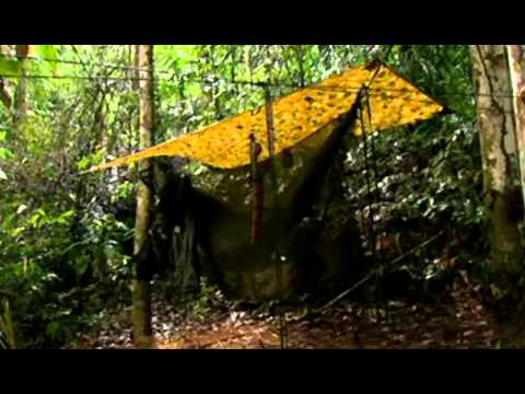 Ray Mears' Bushcraft   S01   E02   Jungle Camp