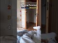 Top 4 Funniest Cat Attack Moments Caught on Camera 💀🐱