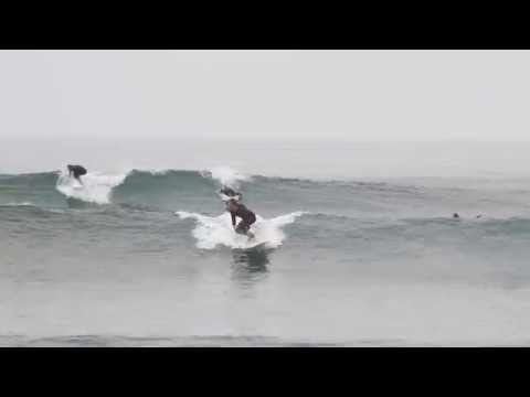 Kookbox step deck Noserider