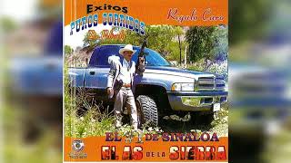 Penal De La Loma Lyrics English Translation