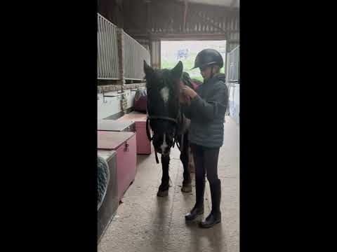 ***One in A Million Allrounder*** - Image 2