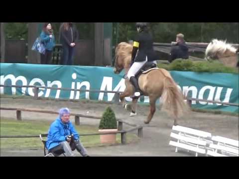 FMA Kronshof Special 2016