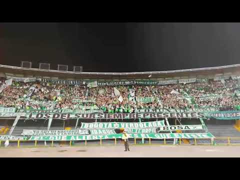 Verde Mi Buen Amigo — Los Del Sur Bogotá. Equidad 3 — Atlético Nacional 4 Liga BetPlay 2020