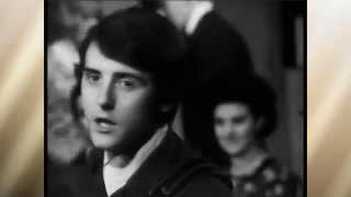 The Moody Blues :::: Go Now.