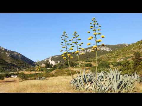 Klapa Nostalgija - Plavi putevi mora