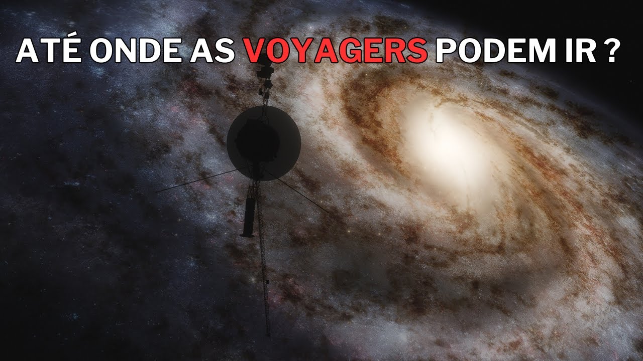 The Final Destiny of the Voyager probes