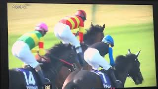 【フリーター競馬実況】2025 大阪杯 べラジオオペラ（横山和生）
