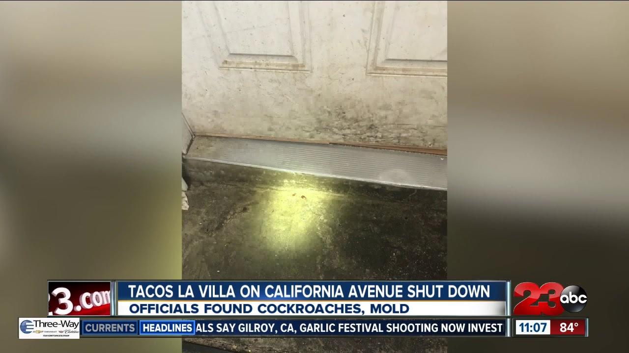 Tacos La Villa closed for health violations including live cockroaches in food area