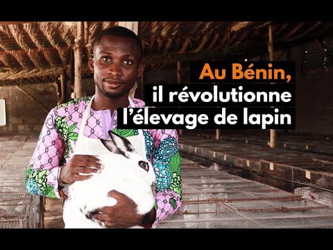 , title : 'Au Bénin, il révolutionne l’élevage de lapin'