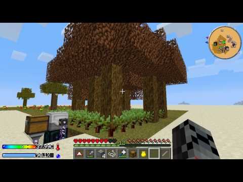 Crash landing #37 - Turbine, Rubber Tree e Otimizações