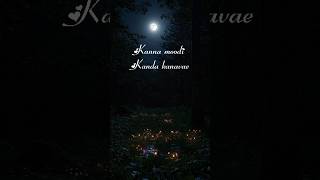 Download lagu ❤️Kodi aruvi kottuthe❤️Song❤️Lyrics❤️ mp3 Download lagu ❤️Kodi aruvi kottuthe❤️Song❤️Lyrics❤️ mp3