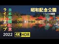 2022 昭和記念公園紅葉ライトアップ 4k hdr autumn colors lit up at japanese garden in showa memorial park uhd hdr