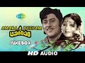 Amara Deepam Telugu Movie Songs Audio Jukebox Krishnam Raju Jayasudha Chellapilla Satyam