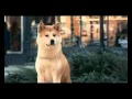 Hatiko.avi 