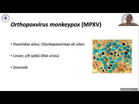 Konunun Uzmanı Derneklerin Katkısı İle Maymun Çiçeğini Gözden Geçiriyoruz 26 Ağustos 2024
