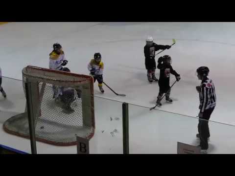 Hoki U8, 2017.02.26. (3. meccs) Veszprém  - Kaposvári SI C1