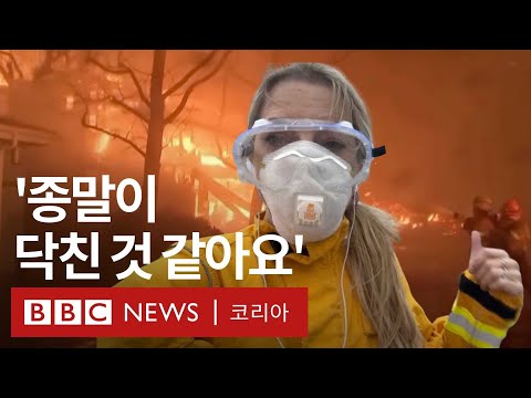 LA산불 피해 현장 가보니 '악몽으로 변한 캘리포니아 드림' - BBC News 코리아