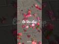 Ek Din Aap Yun Humko Mil Jayenge Phool Hi Phool Rahon Mein Khil Jayenge Shruti Editz