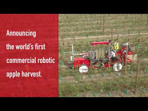 BayWa uses the world’s first commercial picking robots