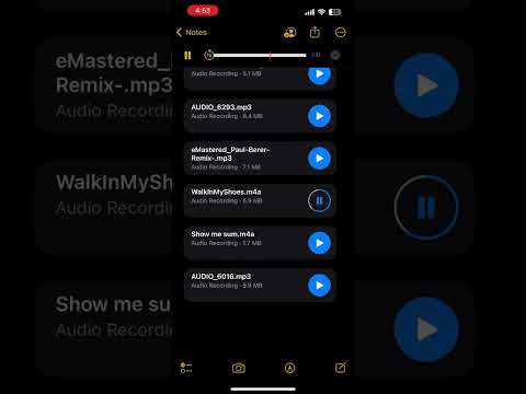 wolnert800-WalKinMyShoes