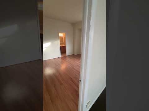 717 FLats - Video 2 of 2