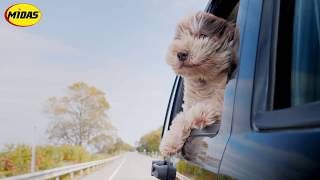 Cooper Tire Summer Promotion