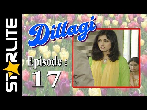 Dillagi, Episode 17, Top Pakistani Drama, URDU Comedy, Drama Serial Kashif Mehmood, Naseem Vicky
