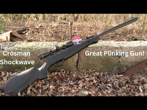 Discover the Best Pellet Gun: Is the Crosman 22 Shockwave Worth It?