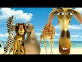 Madagascar 2 (2008) - Alex Vs Nonnina - Full-Hd - ITA