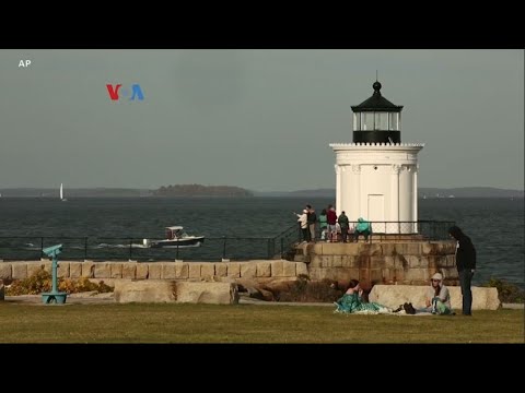 VOA - PULIHNYA POPULASI BURUNG PUFFIN DI TENGAH ANCAMAN PERUBAHAN IKLLIM