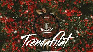 Trëndafilat Music Video