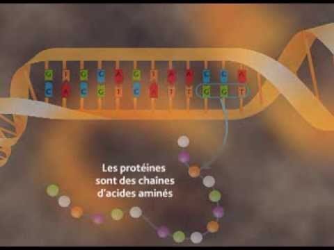 Les effets des rayonnements sur la santé