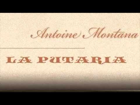 antoine montana - la putaria (lots mashrooms arange) vocals by dj bo