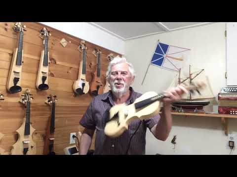 violin+leigh violin+fretted violin+flat-top electric image 7