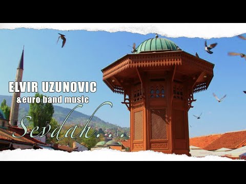 Elvir Uzunovic-Splet bosanskih sevdalinki na harmonici(instrumental)