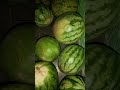 खेती Jamidaar Khetikisaan Khetikisanki Khetibadi Kheti Badi New Status Kheti Badi Mekhama