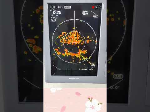 VIDEO d05e4463 4211 4c83 8e7b 778ea9eeaaa8