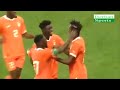 Ivory Coast vs Guinea 3 - 1 Goals and Highlights International Friendly