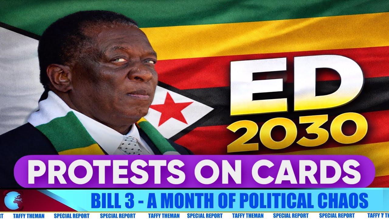 The situation in Zimbabwe, Opposition 