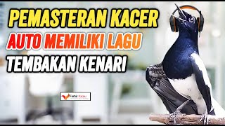 Download lagu Tips Cara Pemasteran Kacer Agar Isian Kenari mp3