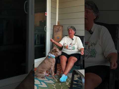 Tristan Gibson Dog Training video.