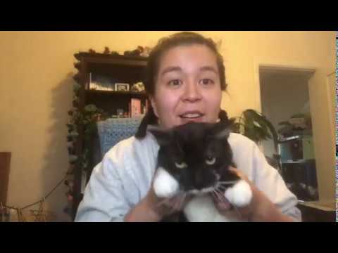 Shabbat Song: Bim Bam with Teacher Jennifer