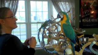Darwin Learns Opposites