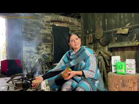 Galpão Crioulo Homenagem ao Porca Véia