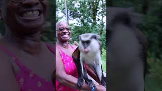 Grenada Valentine’s Week Meetup! | 6 Days of Fun, Sun & Sisterhood 🌴